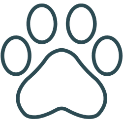 animal care icon